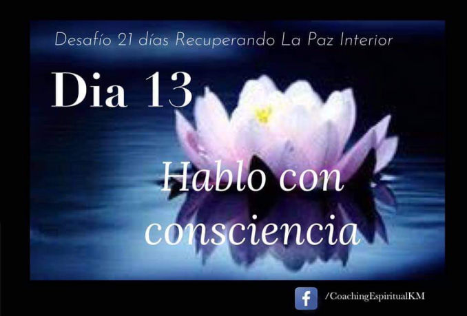 DIA 13