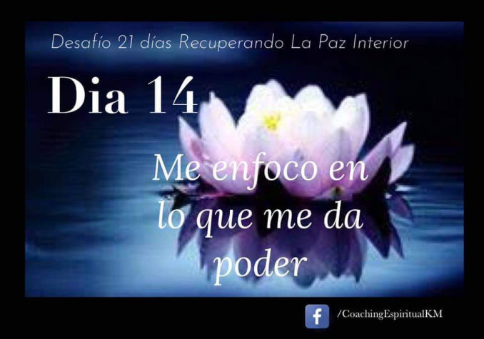 DIA 14