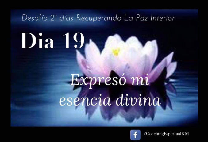 DIA 19