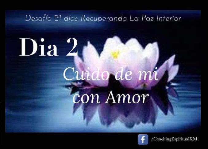 DIA 2