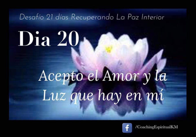 DIA 20
