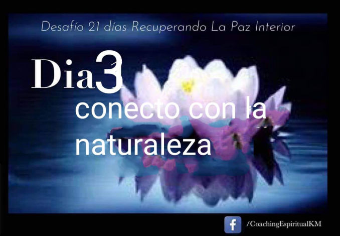 DIA 3