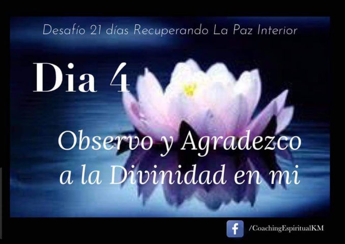 DIA 4