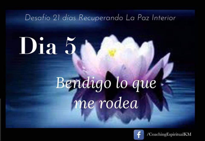 DIA 5