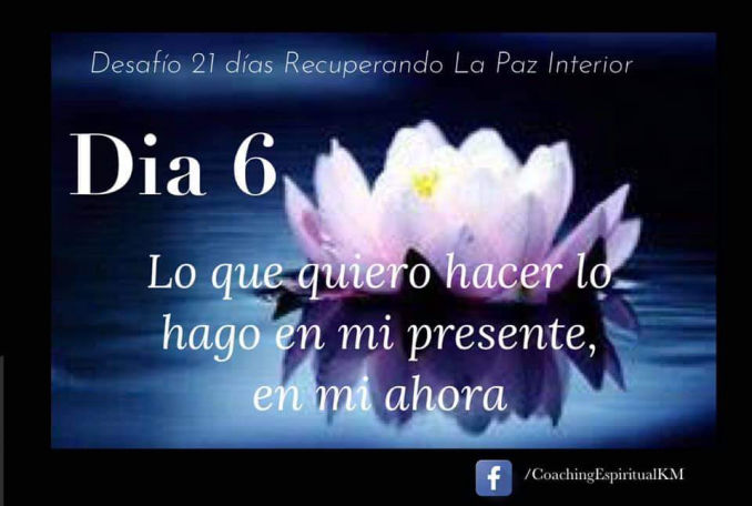 DIA 6
