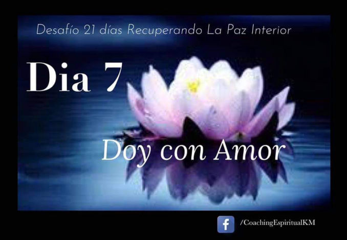 DIA 7