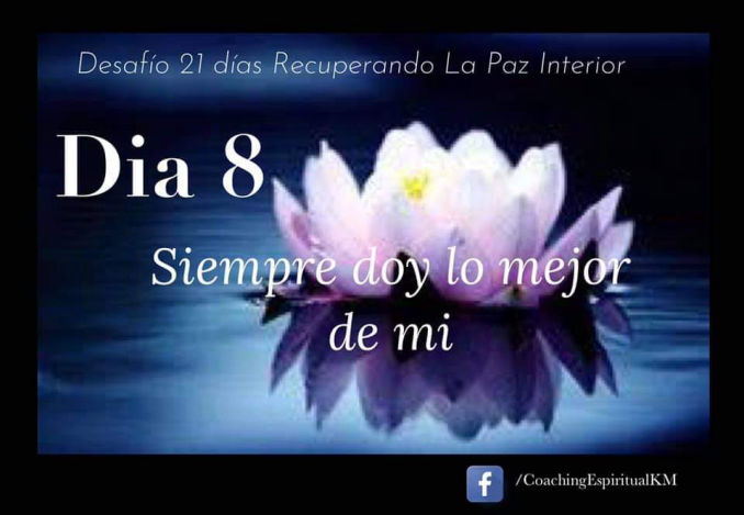 DIA 8